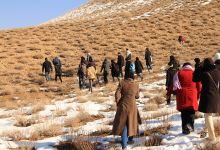 گزارش تصویری از کارگاه آموزشی متالوژنی(فلزایی) ایران - نمایشگاه سنگ های زینتی و بازدید از معادن سنگ در معلمان